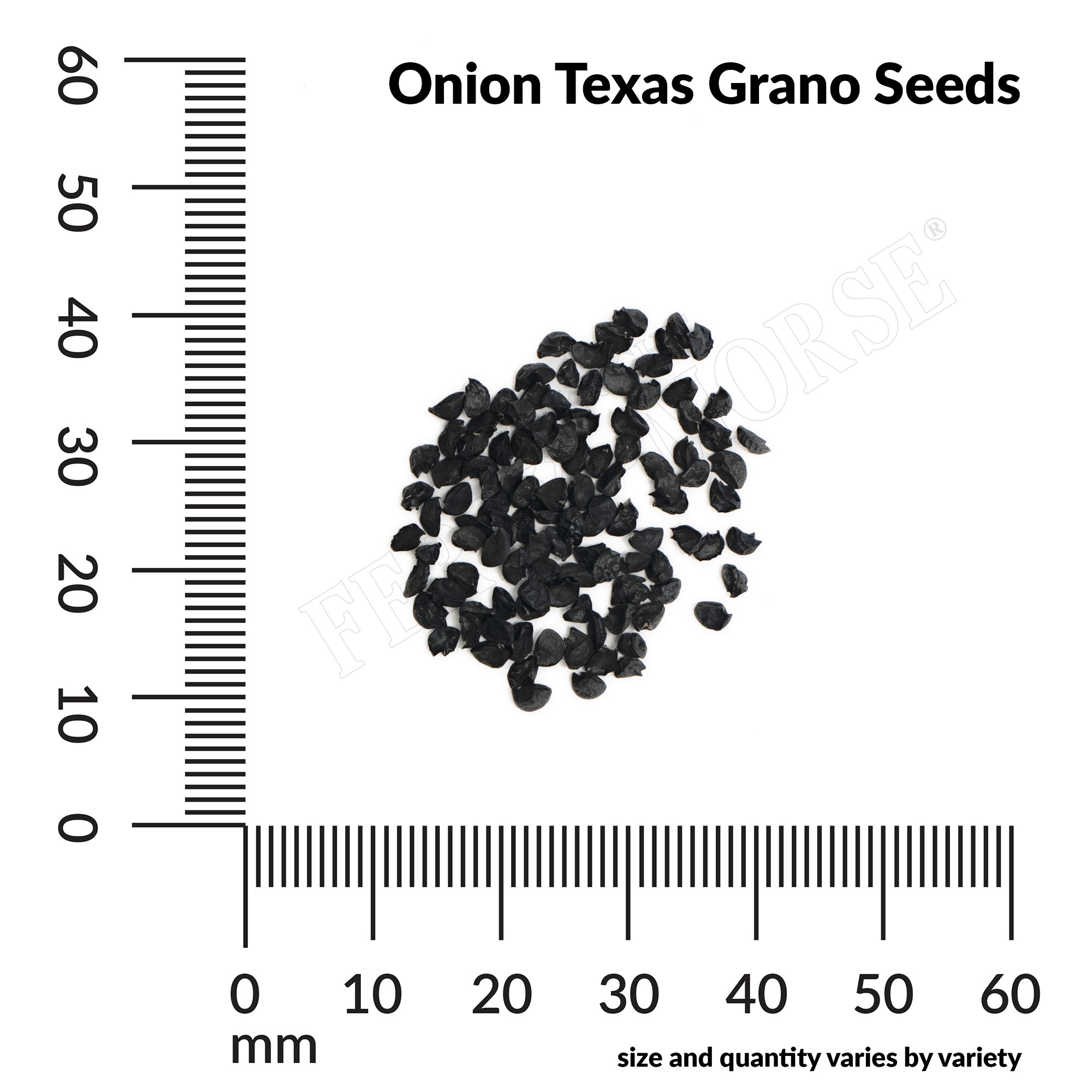 Onion texas grano seed spill and measurement